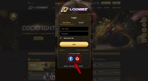 lodigame291|Lodi646.